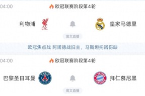 爱游戏-孟菲斯灰熊和影照片